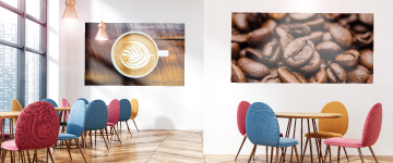 Wall Graphics | www.colour-frog.co.uk